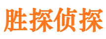 龙泉侦探公司